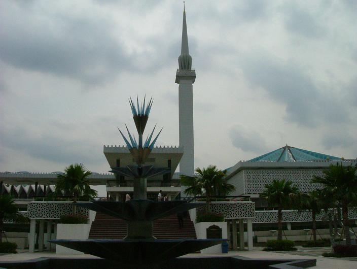 CXq