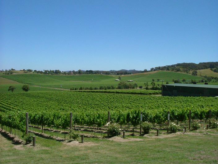 Winery